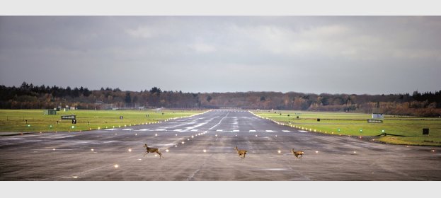 De BasisUtrechts Landschapcredit Marc van der Kort